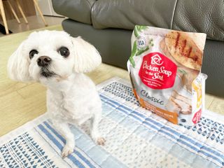 치킨수프 클래식 독 2.04KG — 5점을 준 리뷰어가 2021년 6월 올린 사용 사진