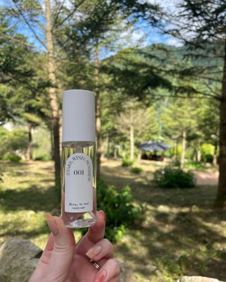 디어포레스트 [5개세트] 숲속의 하루 패브릭미스트 (섬유향수/ 룸스프레이) 50ml 5개 — 3점을 준 리뷰어가 2022년 9월 올린 사용 사진