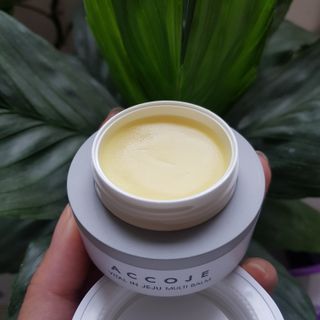 바비와구르미님이 올린 리뷰 사진 4