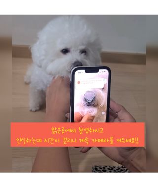 비니주니맘 :D님이 올린 리뷰 사진 1
