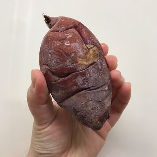 쎄미님이 올린 리뷰 사진 3