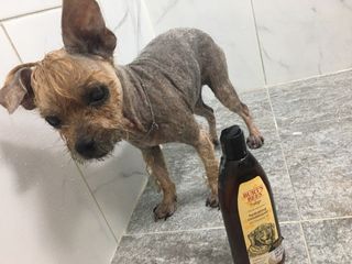 아라아빠님이 올린 리뷰 사진 3