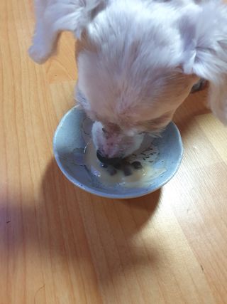 이챠님이 올린 리뷰 사진 3