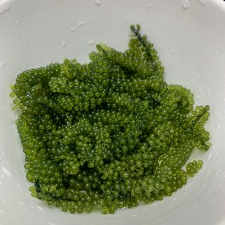 서언미님이 올린 리뷰 사진 2
