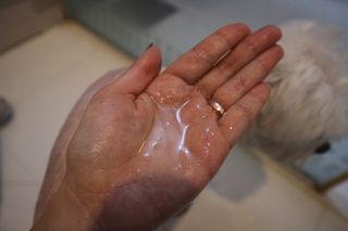 김가경님이 올린 리뷰 사진 4