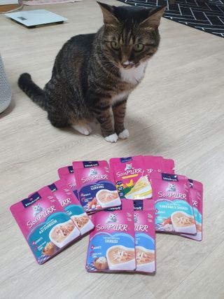 비타크래프트 고양이 수프 50g 3가지맛 x4팩씩 총 12팩 — 5점을 준 리뷰어가 2021년 8월 올린 사용 사진