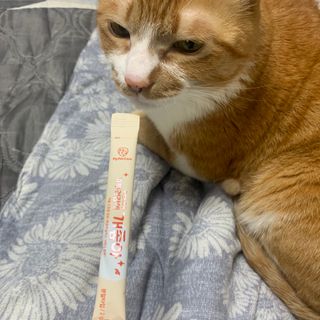 My Pet Care 모발과 모질 피부건강에 개좋아 — 5점을 준 리뷰어가 2020년 12월 올린 사용 사진