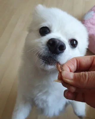 보미누나님이 올린 리뷰 사진 1