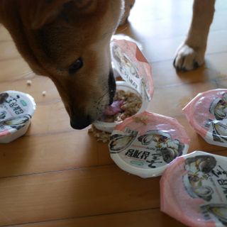루비님이 올린 리뷰 사진 3