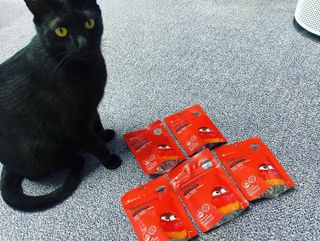 [푸름웰니스] 라바 멀티비타민 구미 36g — 5점을 준 리뷰어가 2021년 12월 올린 사용 사진