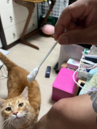 이아님이 올린 리뷰 사진 3