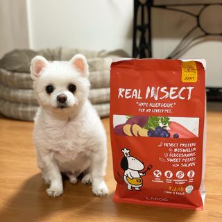 규규님이 올린 리뷰 사진 4