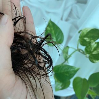 쏨님이 올린 리뷰 사진 4