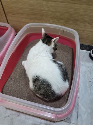 치명적매력님이 올린 리뷰 사진 3