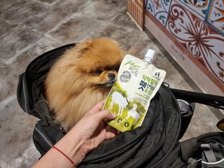 아롱이님이 올린 리뷰 사진 2