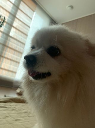 별이빛나길님이 올린 리뷰 사진 4