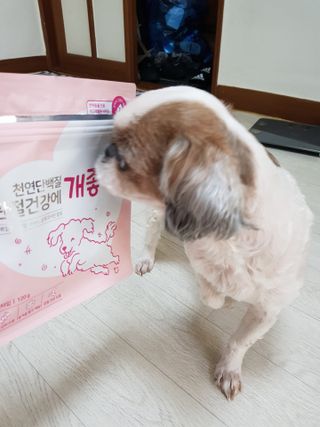 My Pet Care 천연단백질 관절건강에 개좋아 — 5점을 준 리뷰어가 2021년 3월 올린 사용 사진