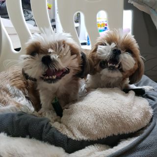 민준맘님이 올린 리뷰 사진 4