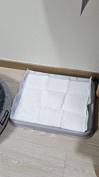 쌤님이 올린 리뷰 사진 2