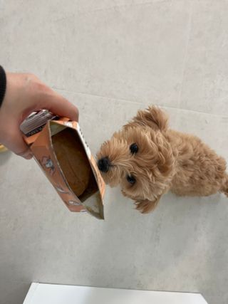 leah님이 올린 리뷰 사진 3