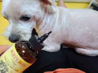 삐랭이님이 올린 리뷰 사진 3