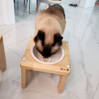 부우기님이 올린 리뷰 사진 3