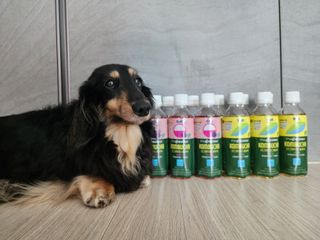 더그레잇티 콤부차 [매일유업] 더그레잇티 44kcal 콤부차 300ml *12개입 (오리지널 6개+베리리치 6개) — 5점을 준 리뷰어가 2023년 7월 올린 사용 사진