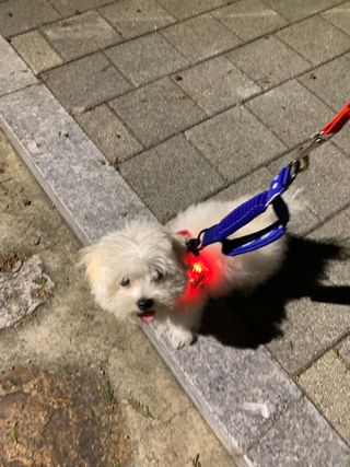 냥냥이님이 올린 리뷰 사진 3