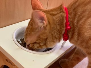 오잉님이 올린 리뷰 사진 3