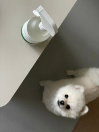 핸감자님이 올린 리뷰 사진 2