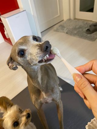 정봐기린님이 올린 리뷰 사진 4