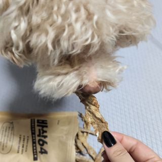llast님이 올린 리뷰 사진 2