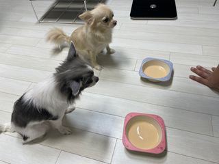 꼬밍님이 올린 리뷰 사진 2