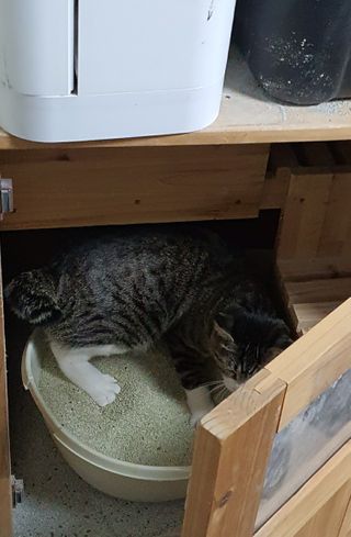 고갱님님이 올린 리뷰 사진 3