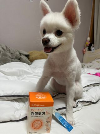 콩이예요님이 올린 리뷰 사진 1