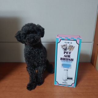 아베크 펫 강아지 고양이 애견 에어 브러쉬 드라이기 올인원 — 4점을 준 리뷰어가 2021년 7월 올린 사용 사진