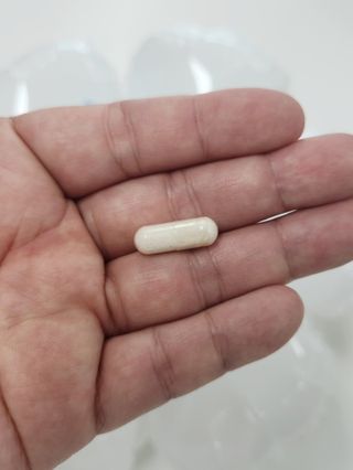 [지셀라] 프로바이오틱스 100억 유산균 보장 (1개월분 / 350mg X 30캡슐) — 5점을 준 리뷰어가 2023년 6월 올린 사용 사진