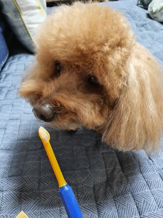 narae님이 올린 리뷰 사진 3