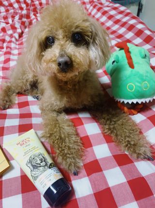 날아님이 올린 리뷰 사진 2