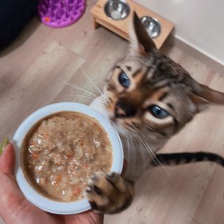 어린이님이 올린 리뷰 사진 4