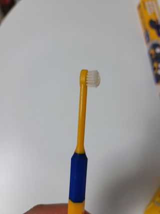 Pethroom 페스룸 PETHROOM DENTAL CARE SET 페스룸 덴탈 케어 세트 / 덴탈 클린 칫솔 + 덴탈 클린 치약 — 4점을 준 리뷰어가 2021년 1월 올린 사용 사진
