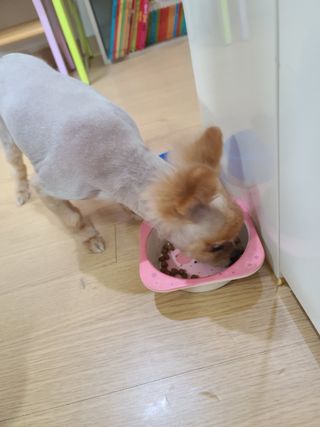 다솜다빈이아빠님이 올린 리뷰 사진 3