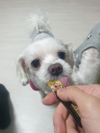 고롸고롸고롸님이 올린 리뷰 사진 1