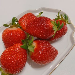 옳음 딸기 논산 설향 딸기 900g 산지직송 — 5점을 준 리뷰어가 2021년 2월 올린 사용 사진