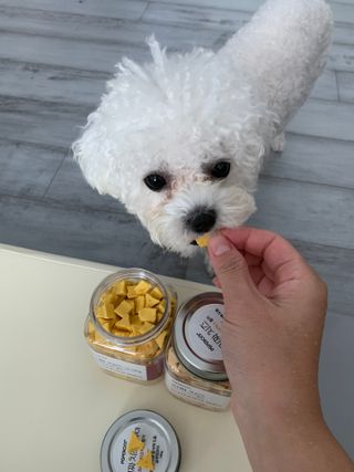 페페로니 진짜 프리바이오틱스 치즈+치즈고구마 180g+180g — 5점을 준 리뷰어가 2021년 7월 올린 사용 사진