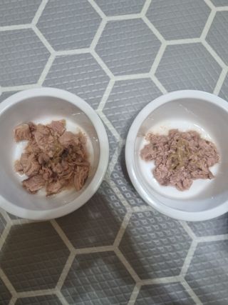 진쓰님이 올린 리뷰 사진 4