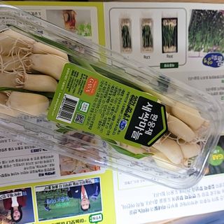 퓨리아님이 올린 리뷰 사진 2