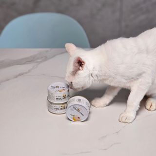 페버님이 올린 리뷰 사진 1