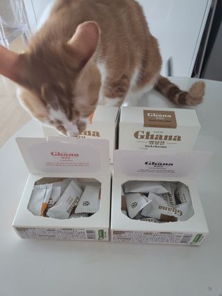 오둥이맘님이 올린 리뷰 사진 2