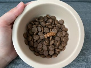 정민트님이 올린 리뷰 사진 3